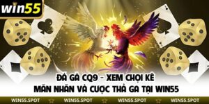 Đá Gà CQ9